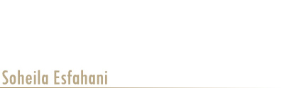 Iranian-Canadian Artist