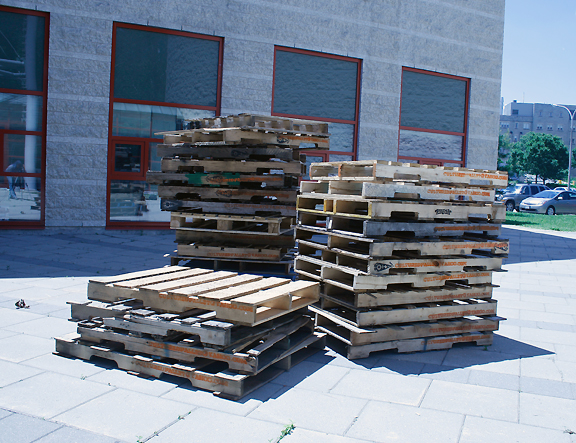 Photo of the Cultured Pallets series by artist Soheila Esfahani