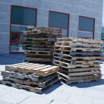 soheila_cultured-pallets_001