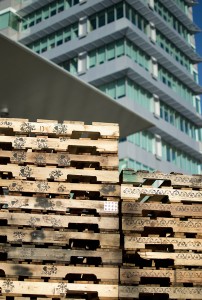 Photo of the Cultured Pallets series by artist Soheila Esfahani