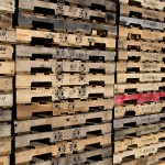 soheila_cultured-pallets_008