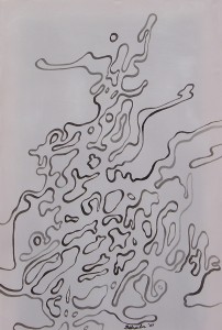 Photo of the Desire series by artist Soheila Esfahani