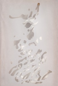 Photo of the Desire series by artist Soheila Esfahani