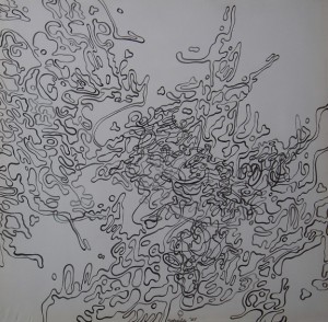 Photo of the Desire series by artist Soheila Esfahani