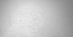 Photo of the Desire series by artist Soheila Esfahani