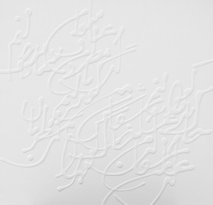 Photo of the Desire series by artist Soheila Esfahani