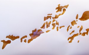 Installation at Kitchener City Hall by artist Soheila Esfahani