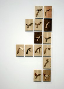 Photo of work from the Trans Series by artist Soheila Esfahani