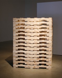 Photo of work from the Trans Series by artist Soheila Esfahani