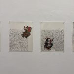 IMG_6351